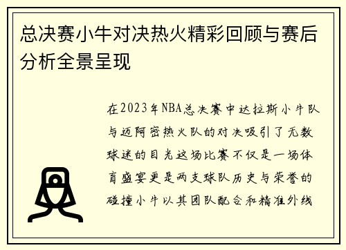 总决赛小牛对决热火精彩回顾与赛后分析全景呈现