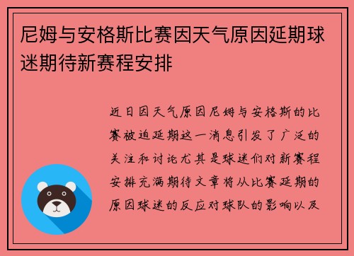 尼姆与安格斯比赛因天气原因延期球迷期待新赛程安排
